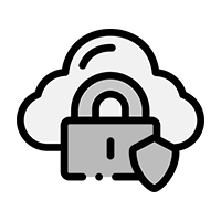 Secure Icon